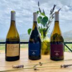 Wine tastings around Calvi & Île-Rousse - Why This Tour Offers Real Value