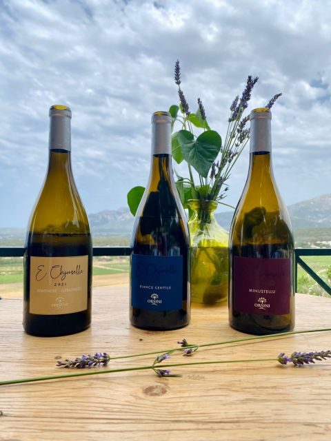 Wine tastings around Calvi & Île-Rousse - Why This Tour Offers Real Value