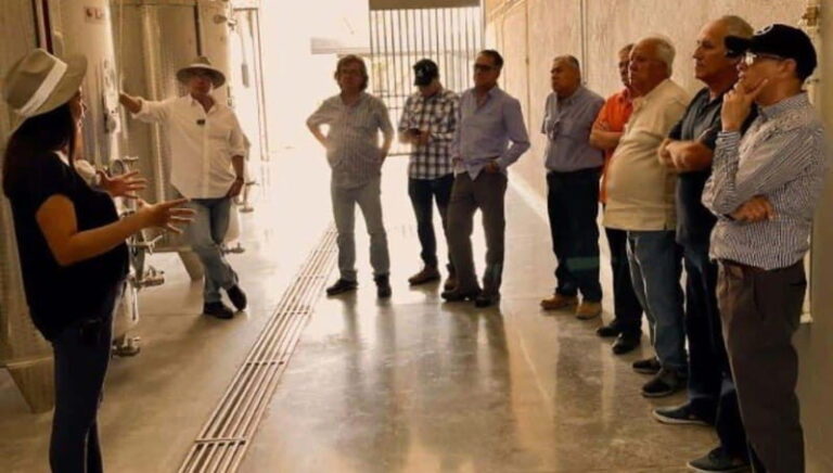 Wine tour and tasting at Vinícola Tierra de Luz - An In-Depth Look at the Vinícola Tierra de Luz Tour