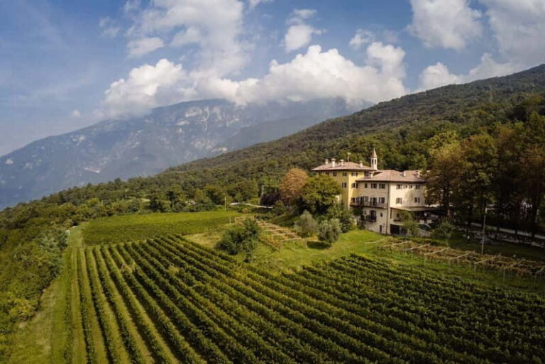 Wine tour at Borgo dei Posseri: wine, nature, and authenticity - Who Is This Tour Best For?