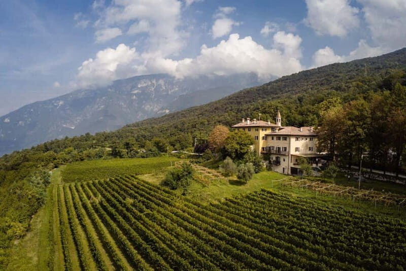 Wine tour at Borgo dei Posseri: wine, nature, and authenticity - Who Is This Tour Best For?