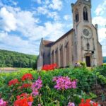 Wine tour in Pouilly Fuissé - An In-Depth Look at the Pouilly-Fuissé Vineyard Tour