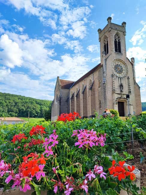 Wine tour in Pouilly Fuissé - An In-Depth Look at the Pouilly-Fuissé Vineyard Tour