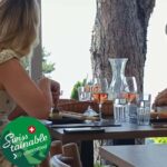 Wine tour in the canton of Vaud - Lavaux vineyards - Exploring the Lavaux Vineyards