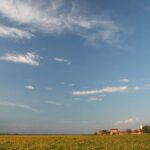 Wine Tour in the Hemingway lands close to Caorle Lagoon - Why This Tour Offers Great Value