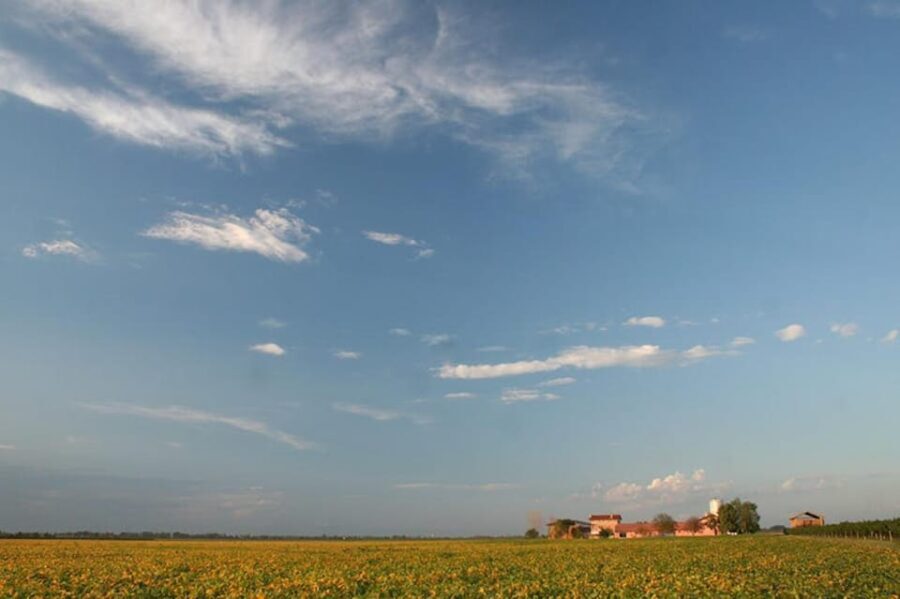 Wine Tour in the Hemingway lands close to Caorle Lagoon - Why This Tour Offers Great Value