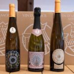 Wine tour of the Alsace wine route - What to Expect from the Alsace Wine Route Tour