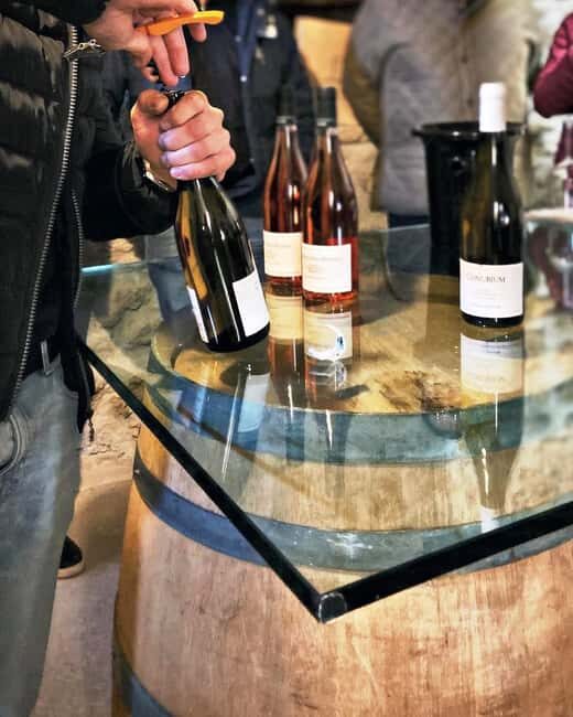 Wine Tour & Tasting of 6 Wines  Le Macchie, near Rome - Tasting and Pairing Experience