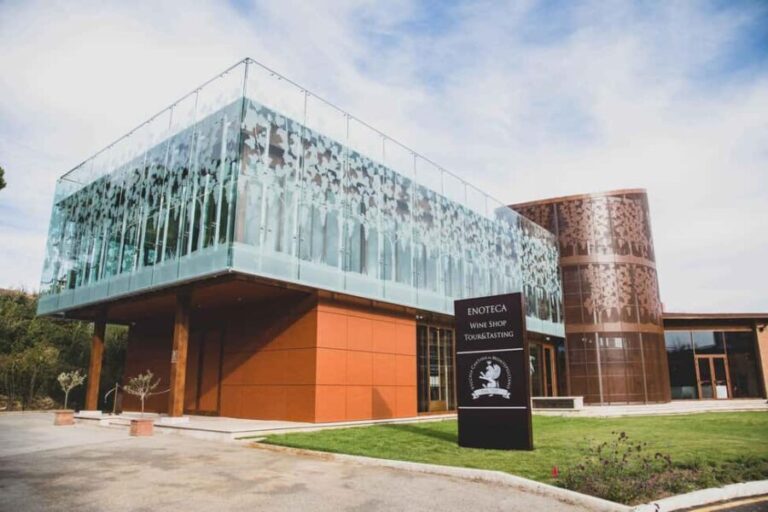 Wine Tour & Tasting TUSCANY - The Breakdown: What the Tour Includes and Why It Matters