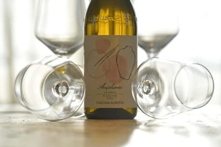 Wine Tour.Visit a Small Organic Winery in the Langhe/Cascina Alberta - Exploring the Experience: A Step-by-Step Breakdown