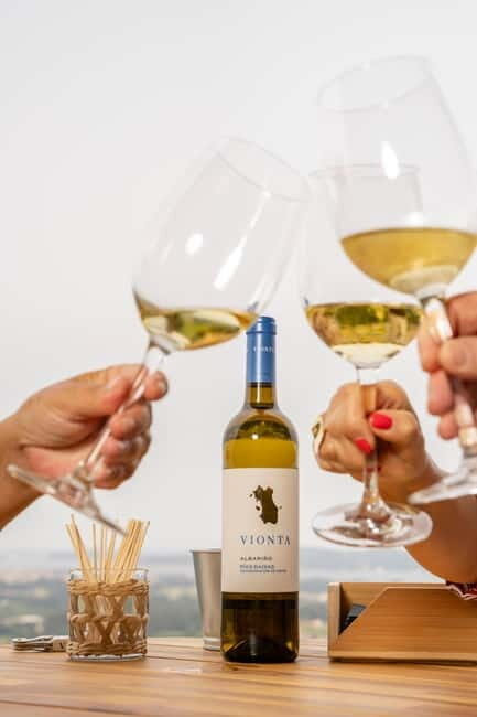 Winery in Rías Baixas with the best views of the Salnés Valley. - Who Will Love This Tour?  