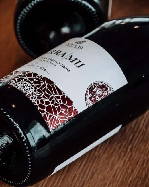 Winery tour and wine tasting - The Setting: A Genuine Connection with Nature