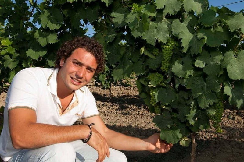 Winery tour in Marsala with wine tasting and local products - Discovering the Heart of Sicilian Winemaking