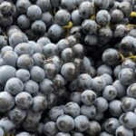 Winery Visit on Parma Hills & Wine Tasting with Food Platter - A Closer Look at the Winery Tour