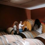 Winery Visit & Tasting on the Volcanic Slopes near Catania - Exploring Sicily’s Volcanic Wines: A Deep Dive