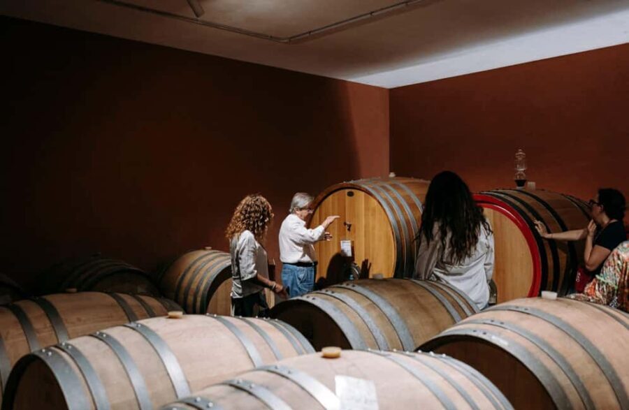 Winery Visit & Tasting on the Volcanic Slopes near Catania - Exploring Sicily’s Volcanic Wines: A Deep Dive