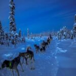 Winter Dog Sled Tour Day or Night Mush! - The Value of the Experience