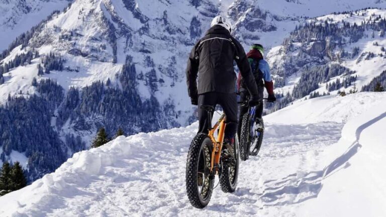 Winter E-Bike Tour| A Royal Coastal Adventure - Practical Details and What You Should Know