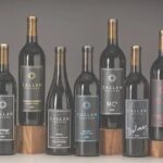 Women Winemakers in Woodinville WA - The Sum Up: Who Will Love This Tour?