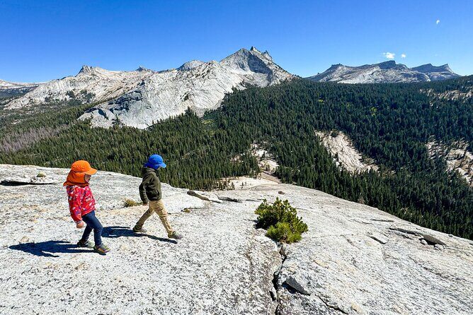 Wonders of Yosemite: Kid Friendly Private Tour - Experience Quality and Practicalities