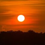 Wrightsville Beach Sunset Dolphin Tour - Wildlife and Dolphin Spotting: A Bonus, Not a Guarantee