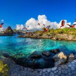 Xcaret Plus Ticket - What to Expect from Your Day at Xcaret