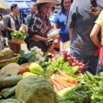 Xochimilco: Market, Food and Nature ¡All included! Tour - A Deep Dive into the Tour