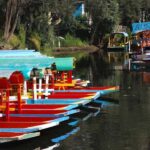 Xochimilco: Party on a trajinera with food, drinks, and music - What to expect: a detailed look at the experience