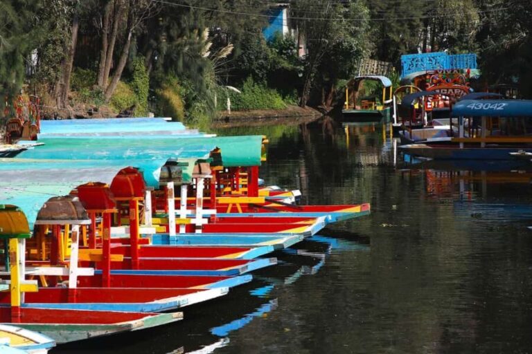 Xochimilco: Party on a trajinera with food, drinks, and music - What to expect: a detailed look at the experience