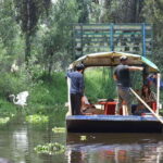 Xochimilco Serene: A Calm Cultural Escape from the Crowds - Good To Know