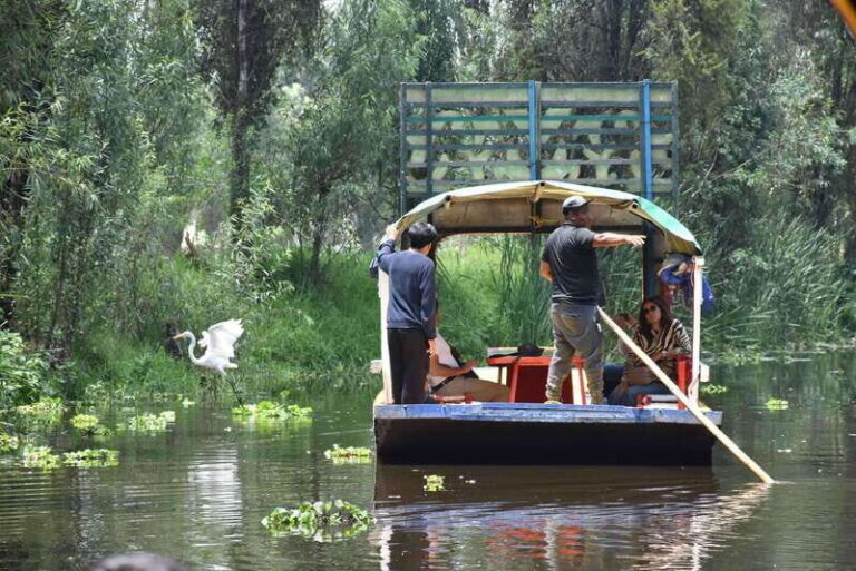 Xochimilco Serene: A Calm Cultural Escape from the Crowds - Good To Know