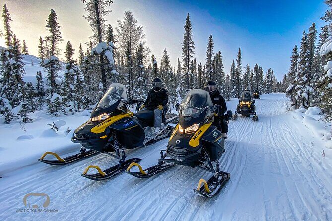 Yellowknife Shared 5 Days Arctic Aurora Viewing - The Aurora Viewing Experience: What Makes It Special?