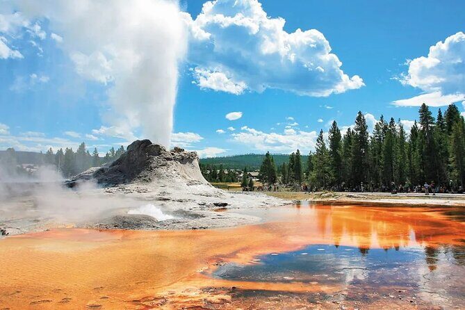 Yellowstone Grand Teton and Coeur dAlene 5-Day Tour from Seattle - Authentic Experiences from Travelers