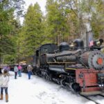 Yosemite Mountain Sugar Pine Railroad Ride with Narration - Analyzing the Value