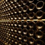 Your Cava, Your Story  Wine workshop experience at Artcava - The Guided Tour and Vineyard Visit