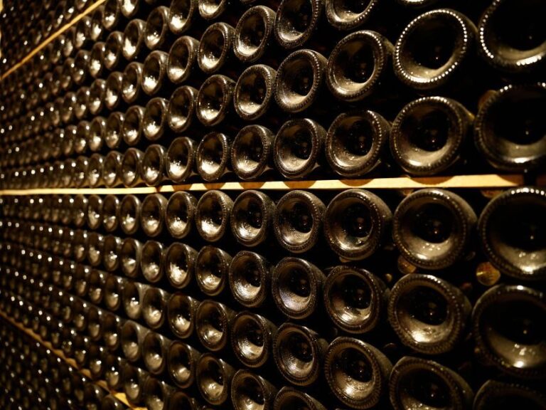 Your Cava, Your Story  Wine workshop experience at Artcava - The Guided Tour and Vineyard Visit
