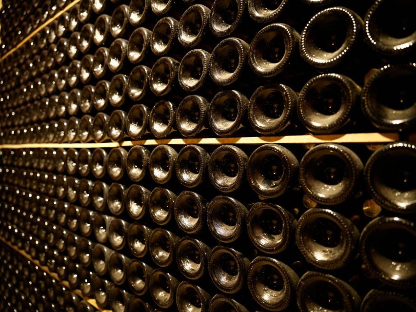 Your Cava, Your Story Wine workshop experience at Artcava - The Guided Tour and Vineyard Visit