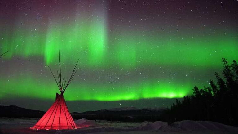 Yukon: Aurora Borealis Late Night Viewing Tour - Considerations and Practical Tips