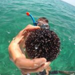 Zadar 3-Islands Tour: Snorkeling, Beach & Sightseeing - 4,5hr - What’s Included & What’s Not