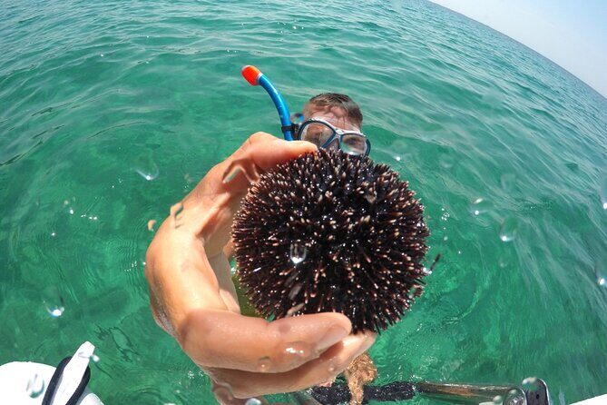 Zadar 3-Islands Tour: Snorkeling, Beach & Sightseeing - 4,5hr - What’s Included & What’s Not