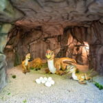 Zatorland Amusement Park: Entry Ticket - How Does It Compare in Value?