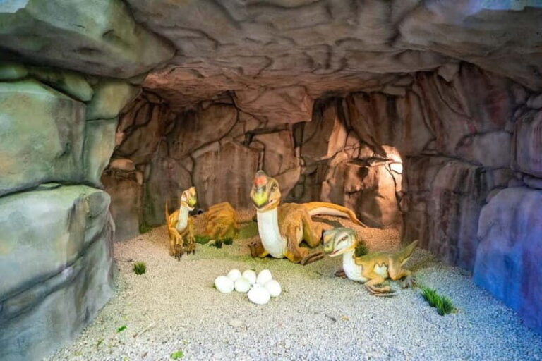 Zatorland Amusement Park: Entry Ticket - How Does It Compare in Value?