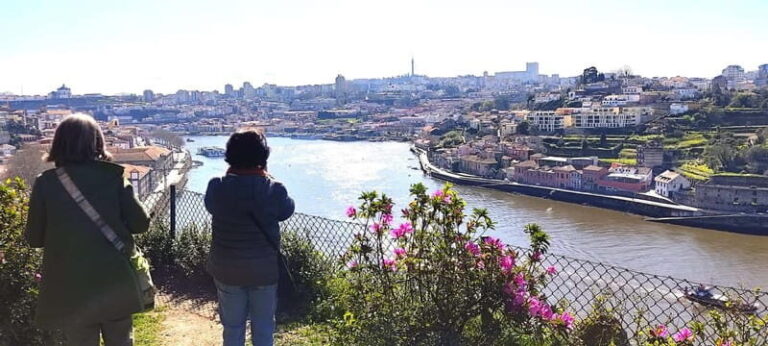 Zen Walking Tour Porto: Find Your Balance 2h - An Overview of the Zen Walking Tour Porto