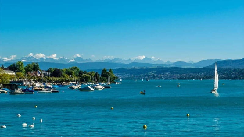 Zurich: 2-hour Best Intro Walking Tour with a Local - Who Will Love This Tour?