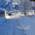 Zurich: Titlis Engelberg and Luzern Full-Day Private Tour - Practical Details and Value