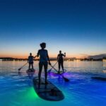 1.5-hour Clear Kayak Rental: Discover the Underwater World - Why This Tour Works Well