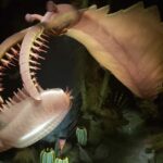 1 Day of Drumheller Dinosaurs and Badlands Guided Tour - A Closer Look at the Days Itinerary