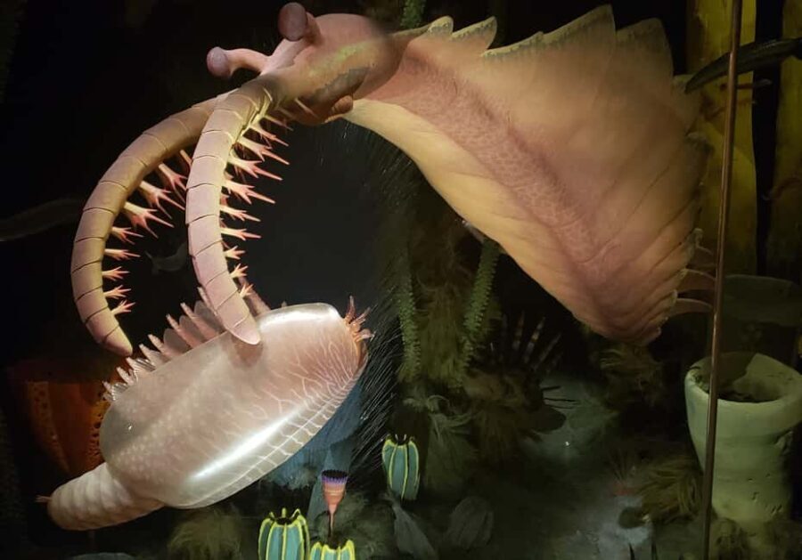 1 Day of Drumheller Dinosaurs and Badlands Guided Tour - A Closer Look at the Days Itinerary