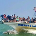 1 Hour Dolphin Dash - Why Consider This Tour?