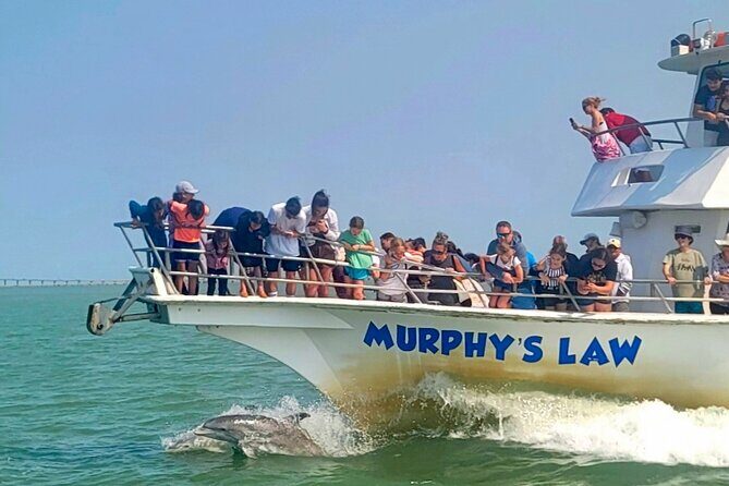 1 Hour Dolphin Dash - Why Consider This Tour?